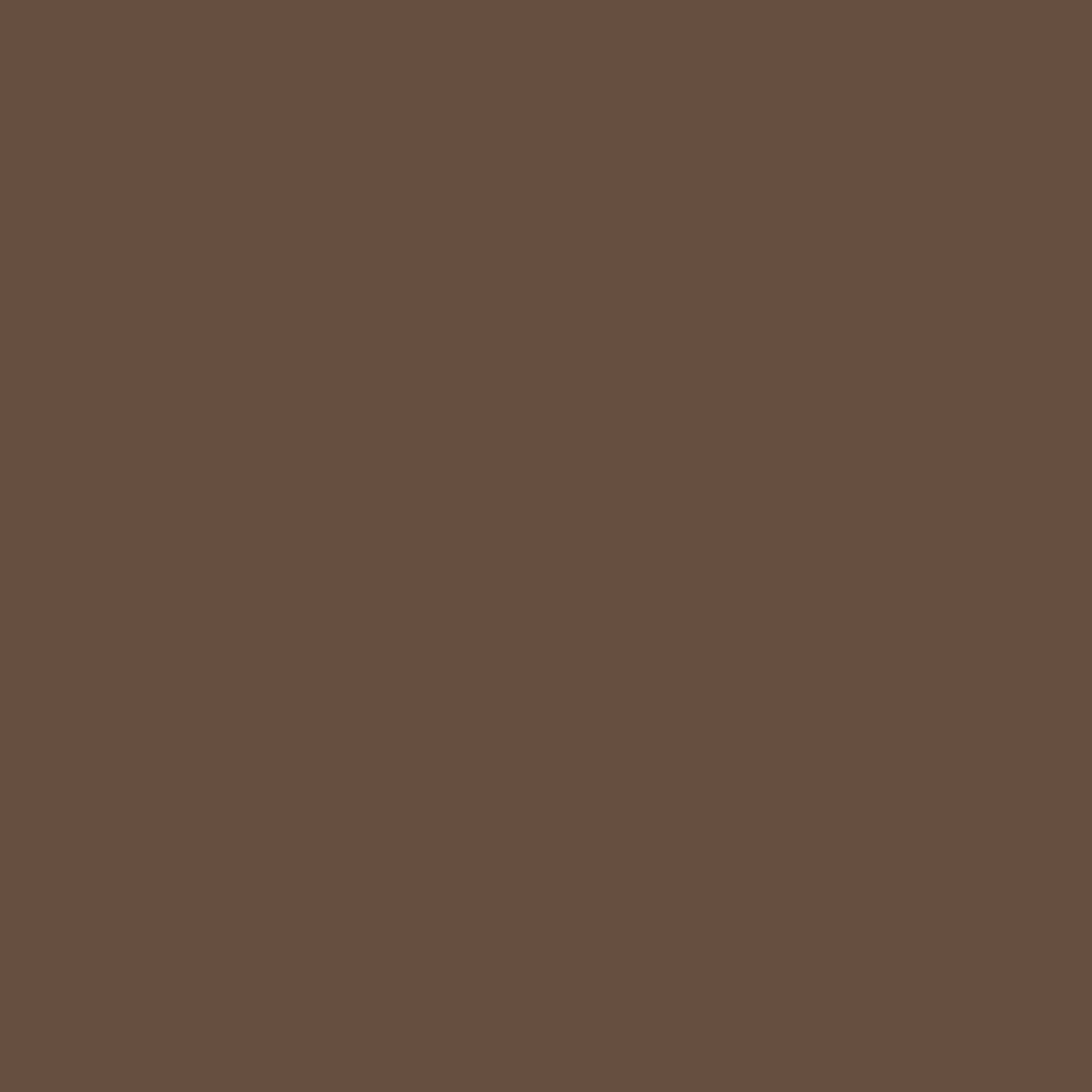 2107-20 Mocha Brown - Paint Color