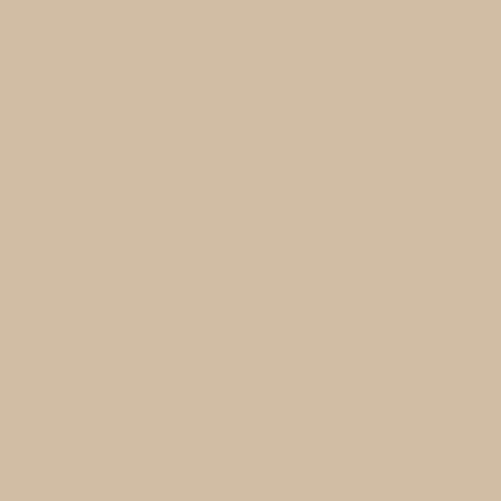 HC-48 Bradstreet Beige - Paint Color | Muskoka Paint & Decorating Ltd.